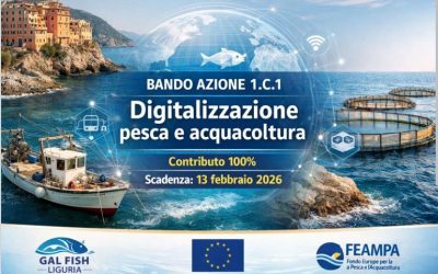 Bando Azione 1.C.1: digitalizzazione pesca e acquacultura